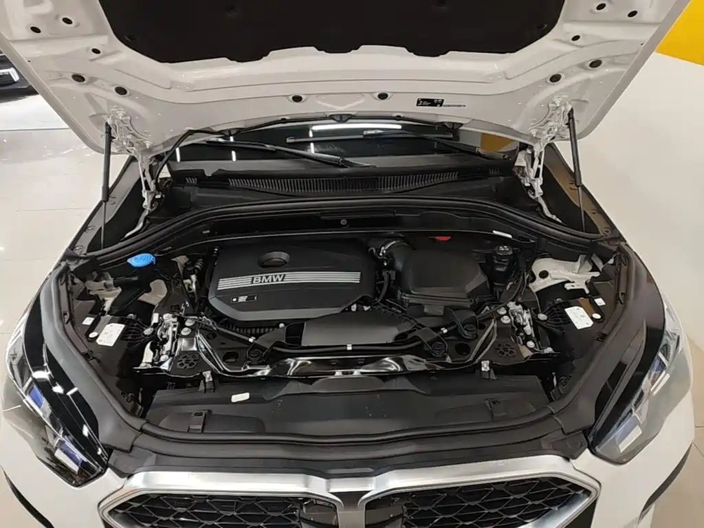 BMW X2 (Import) — миниатюра 20