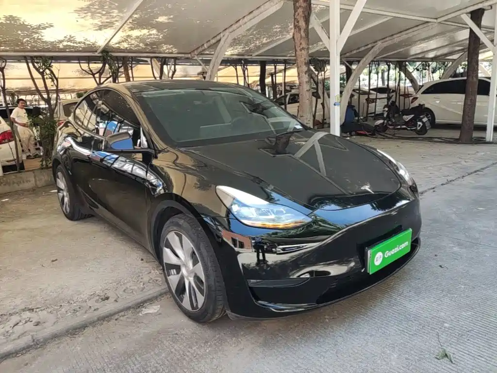 Tesla Model Y — миниатюра 4