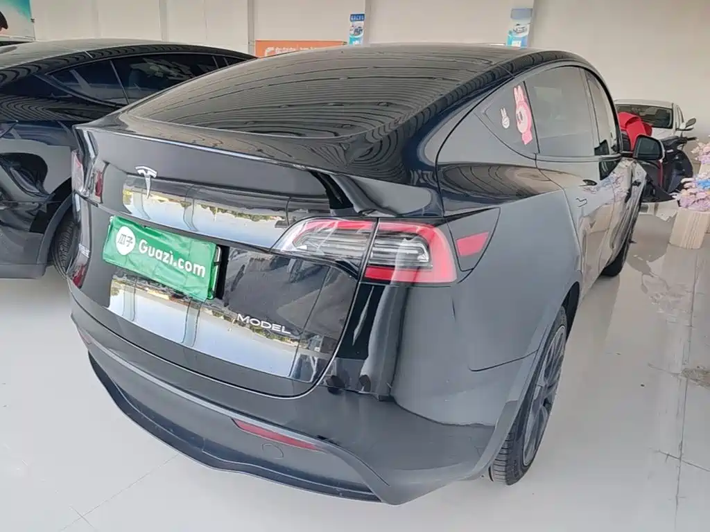 Tesla Model Y — миниатюра 7