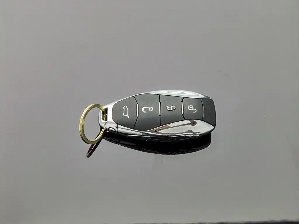 Hongqi Hongqi HQ9 — миниатюра 19