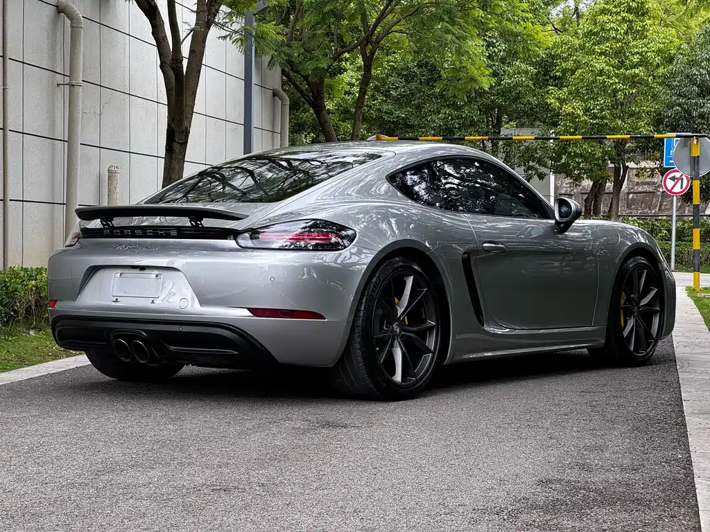 Porsche 718 — миниатюра 8