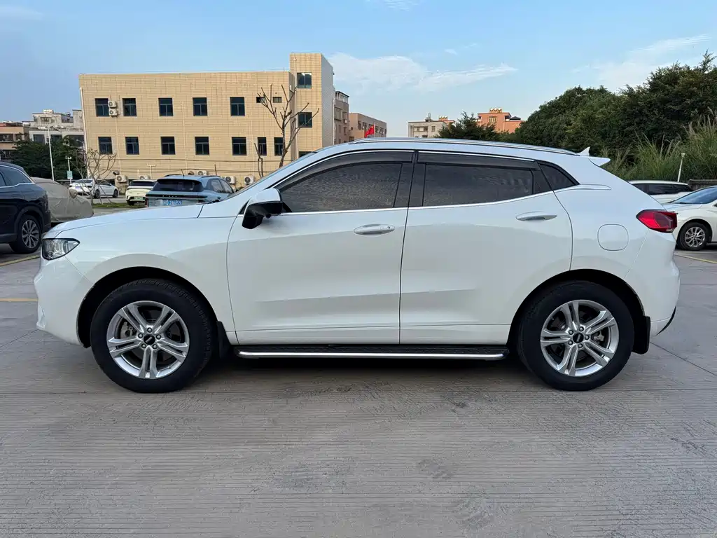 Wey VV5 1.5T 2WD Beauty Pioneer, фото 4