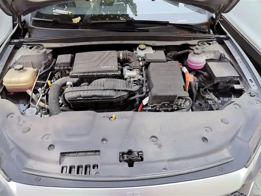 BYD Qin Plus PLUS 2024 DM-i 55KM Lead