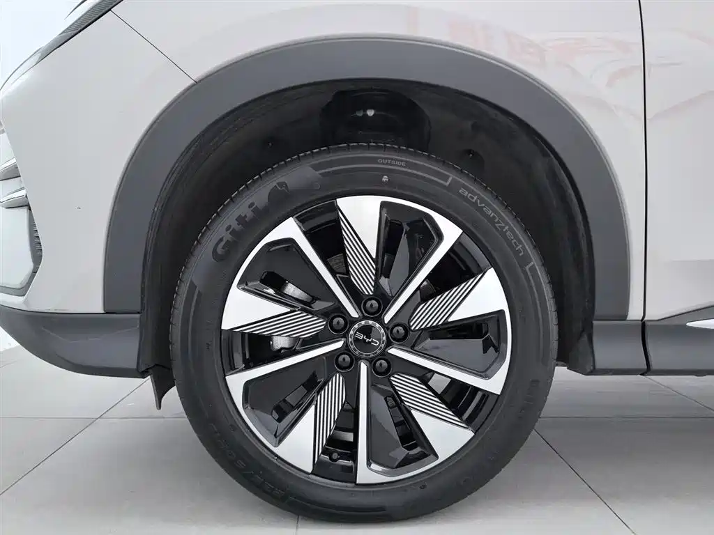 BYD SONGJIANG NEW ENERGY