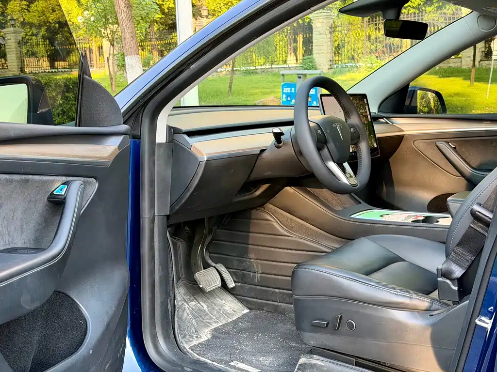 Tesla Model Y — миниатюра 7