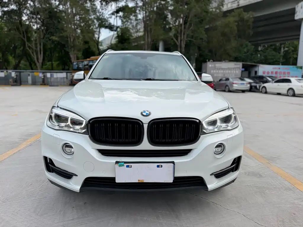 BMW X5 (Import) — миниатюра 2