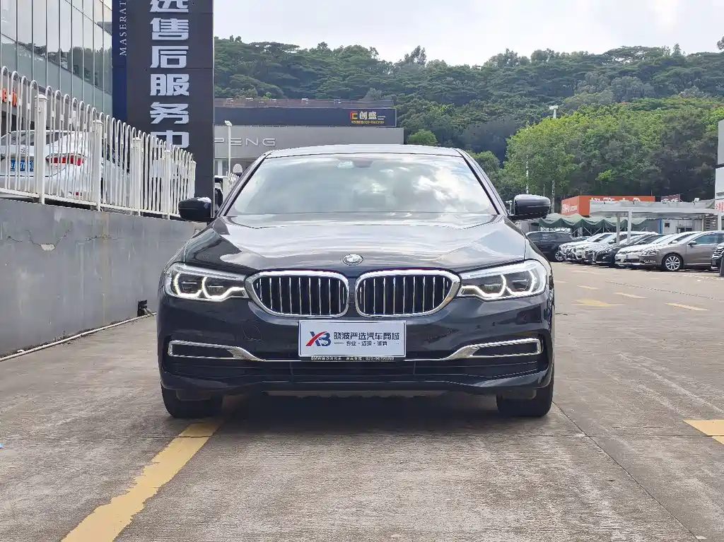 BMW 5 Series 5 2020 530Li Lead Luxury