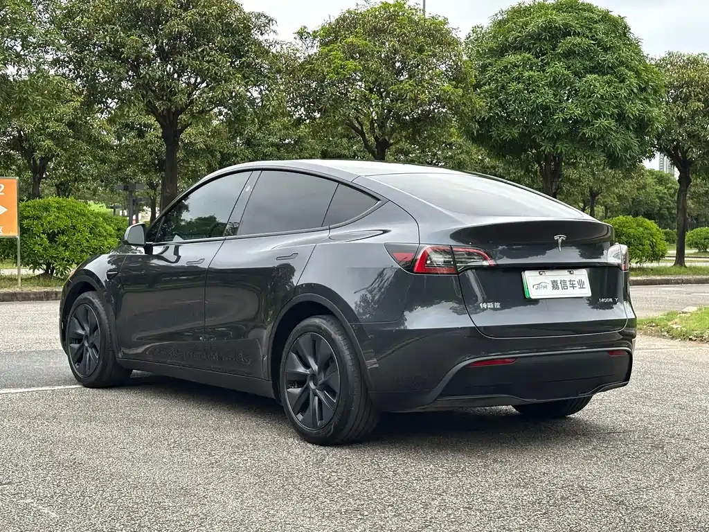 Tesla Model Y — миниатюра 4