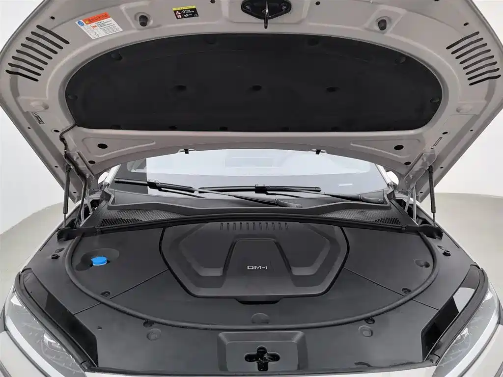 BYD SONGJIANG NEW ENERGY