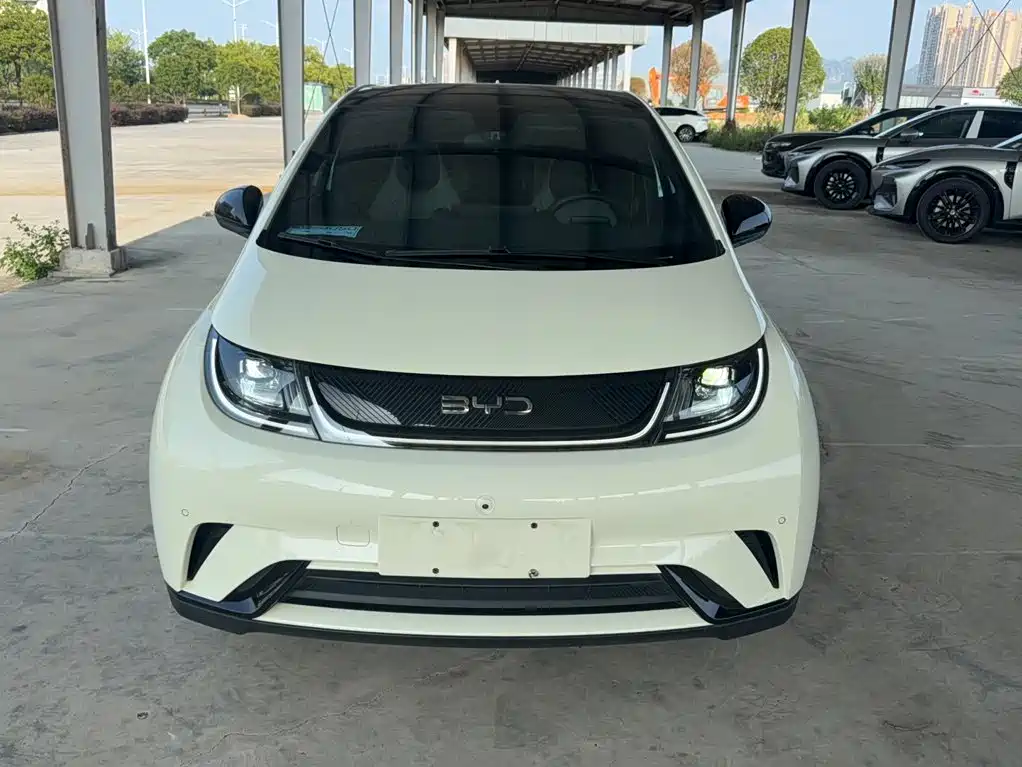 BYD Dolphin — миниатюра 3