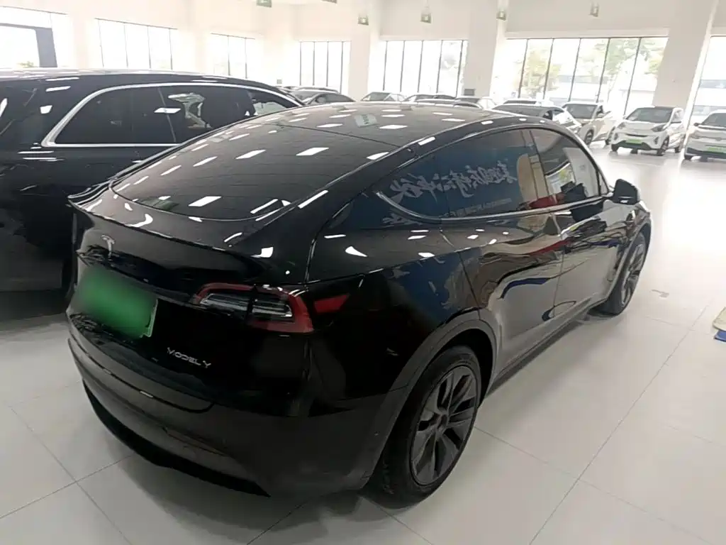 Tesla Model Y — миниатюра 7