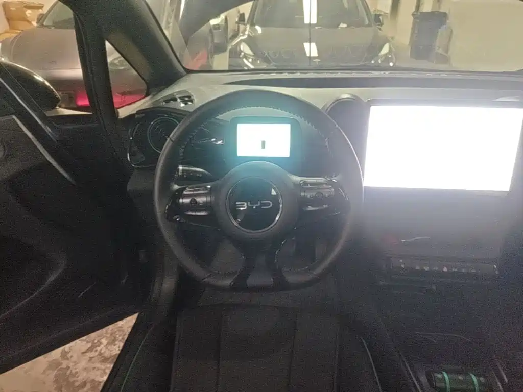 BYD Dolphin — миниатюра 11