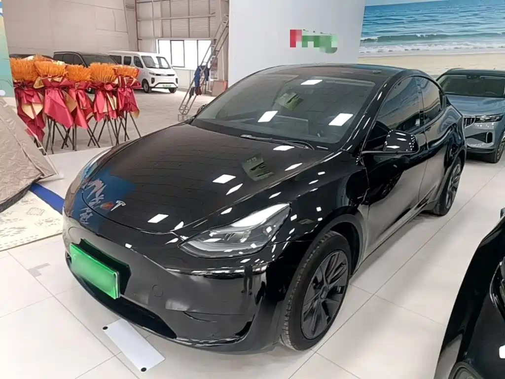 Tesla Model Y — миниатюра 2