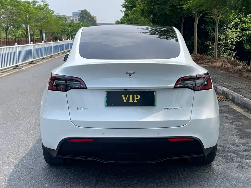 Tesla Model Y — миниатюра 5