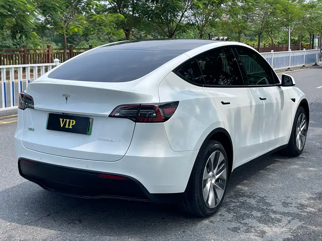 Tesla Model Y — миниатюра 4