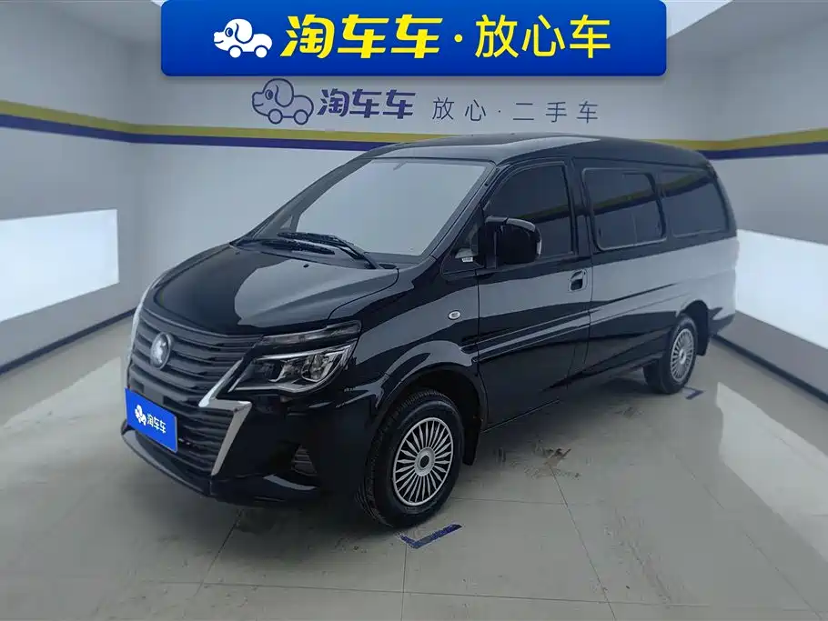 Fengxing Lingzhi 2024