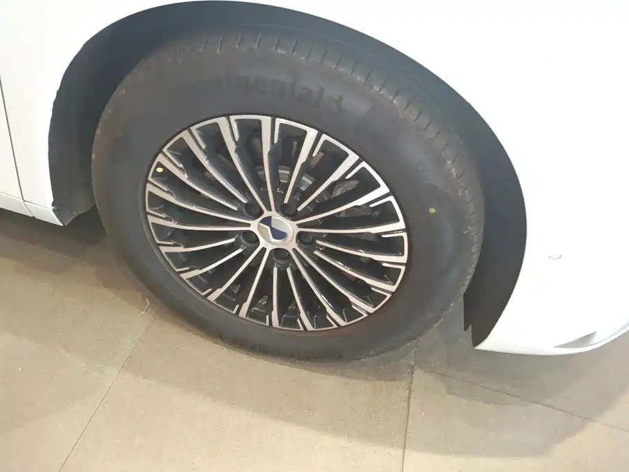 Denza Denza D9 — миниатюра 6