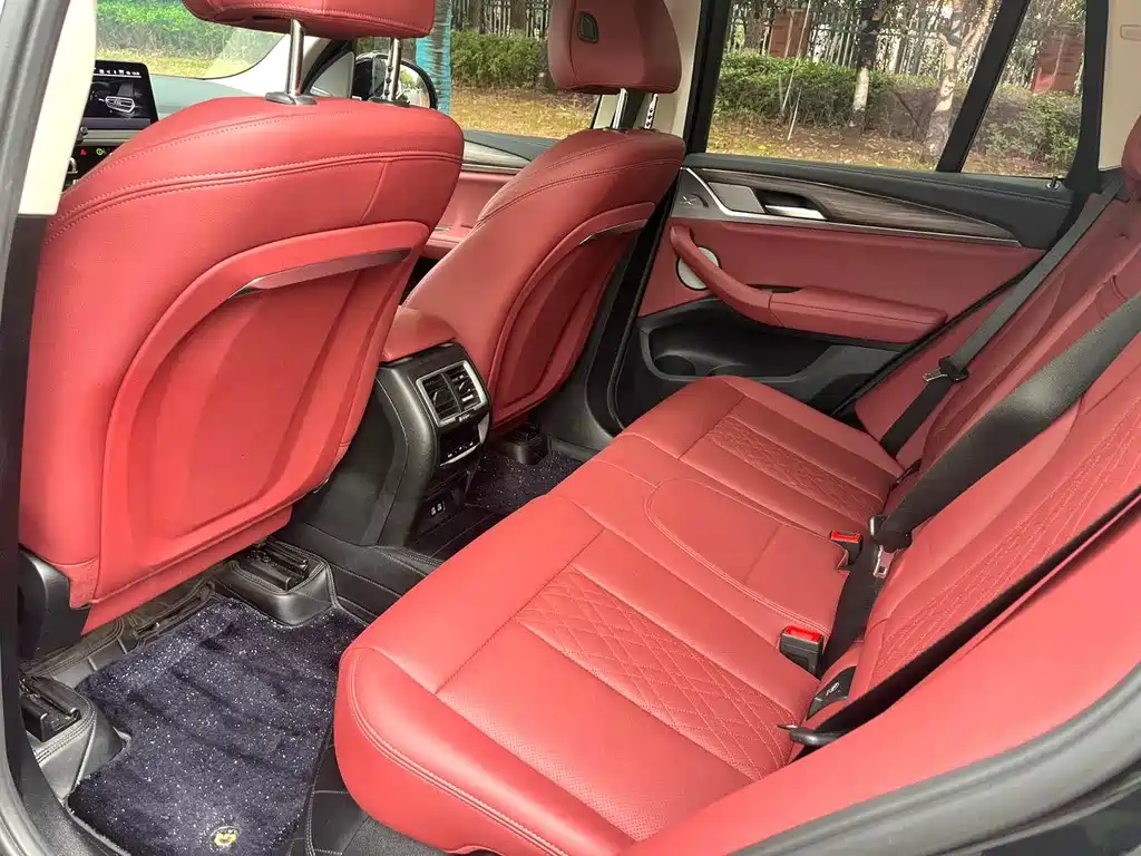BMW X3 2023 xDrive30i Lead M