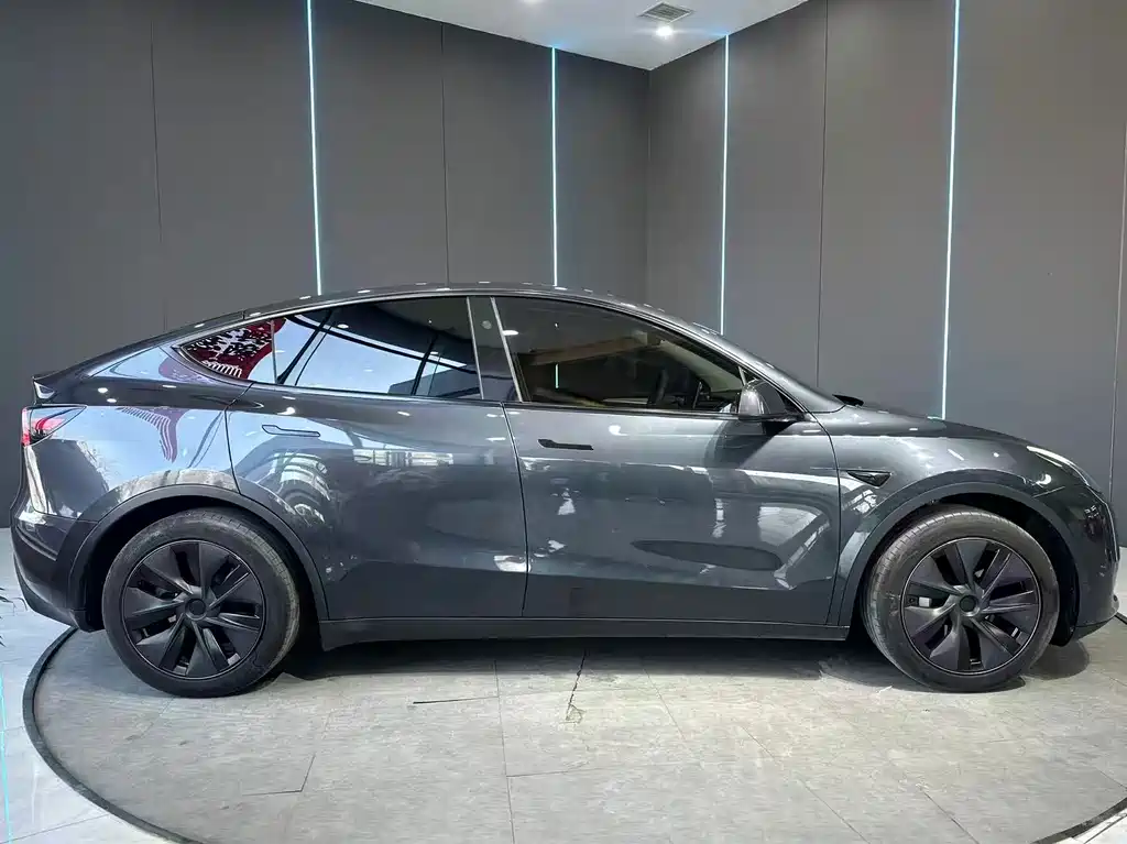 Tesla Model Y — миниатюра 5