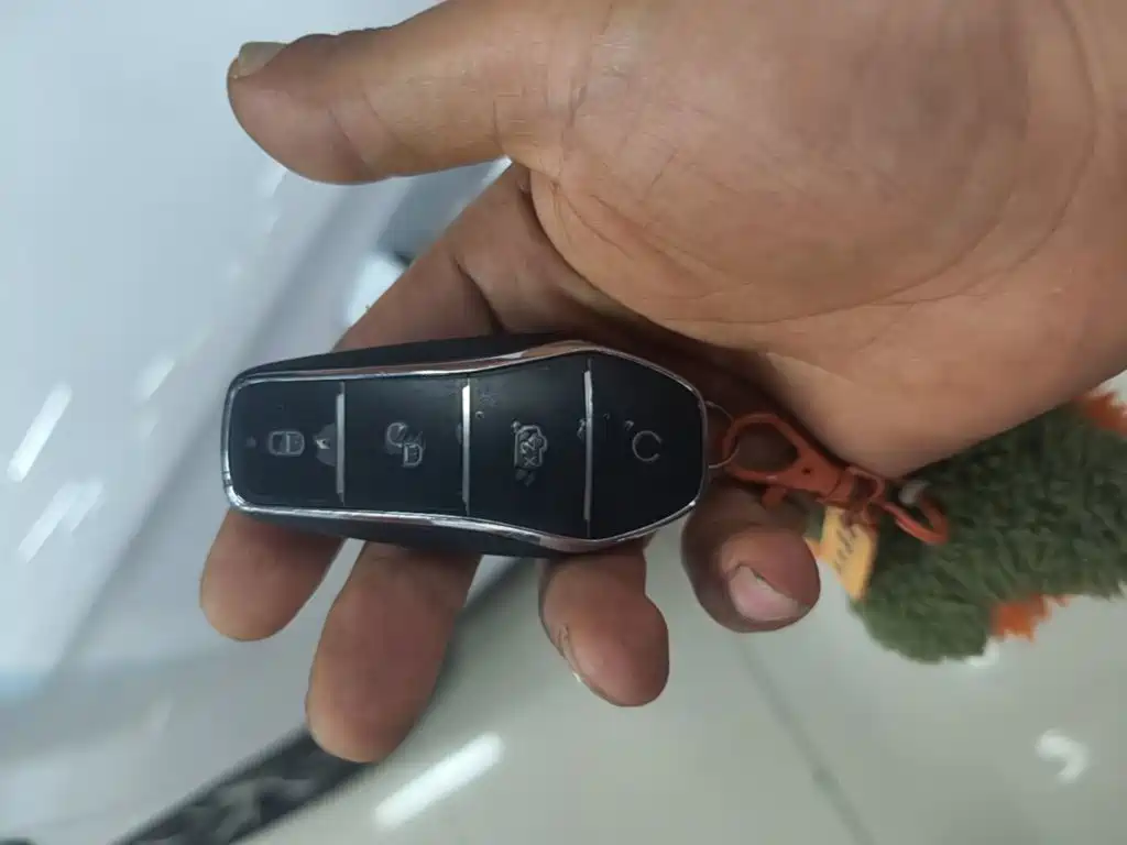 BYD Pro New Energy — миниатюра 9