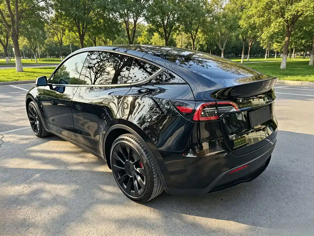 Tesla Model Y — миниатюра 4