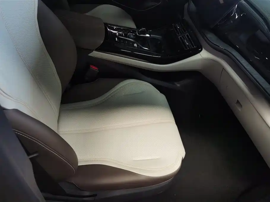 BYD Qin Plus PLUS 2023 Champion DM-i 55KM Lead