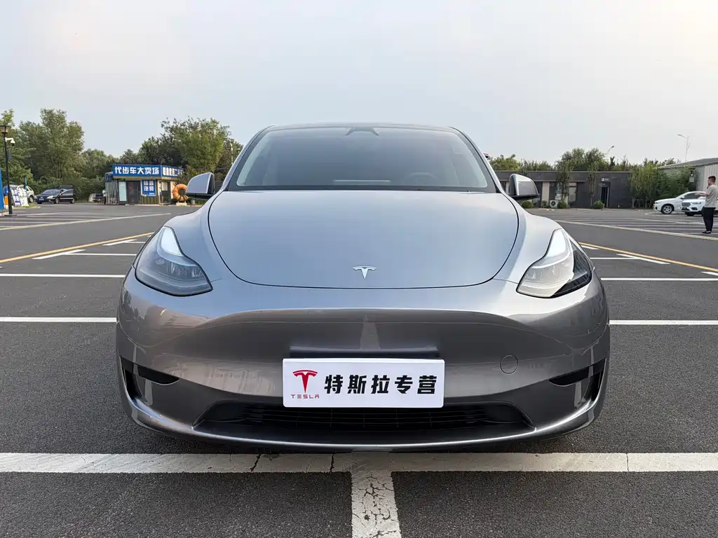 Tesla Model Y — миниатюра 2