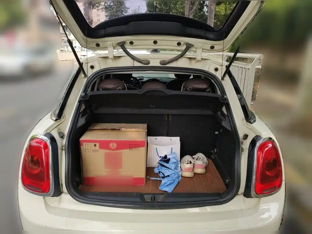 MINI Mini — миниатюра 20