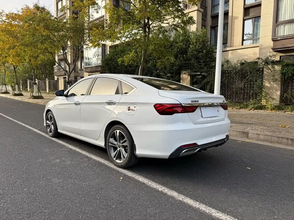 GEELY AUTOMOBILE BINRUI