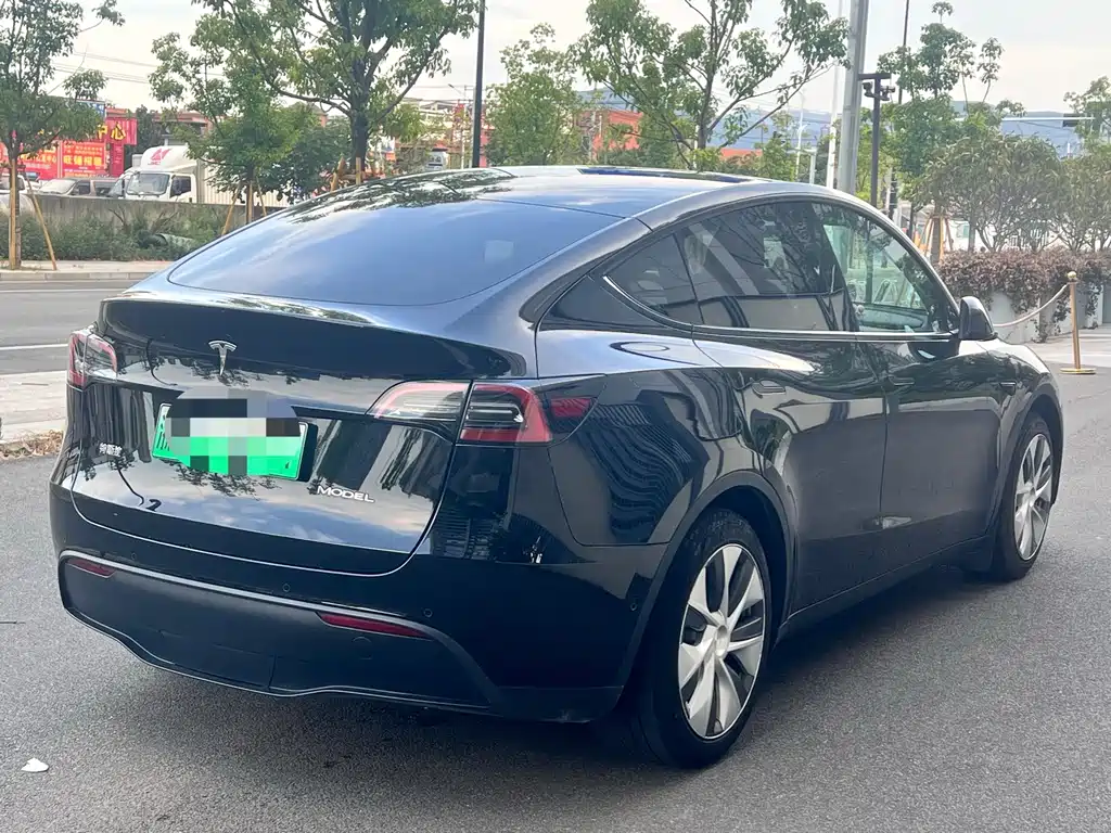 Tesla Model Y — миниатюра 6