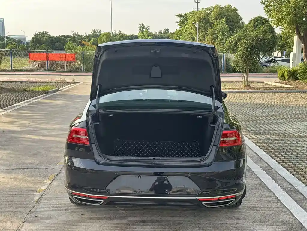 Volkswagen Magotan 2018 330TSI DSG Luxury