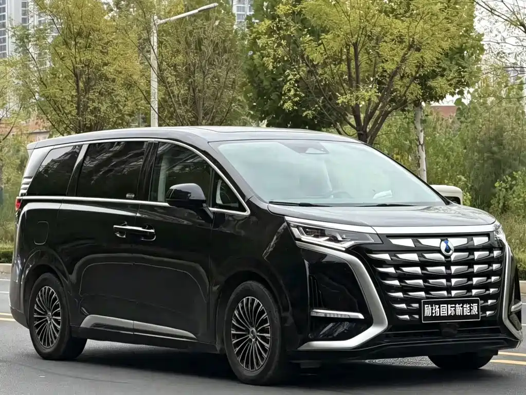 Denza Denza D9 — миниатюра 3