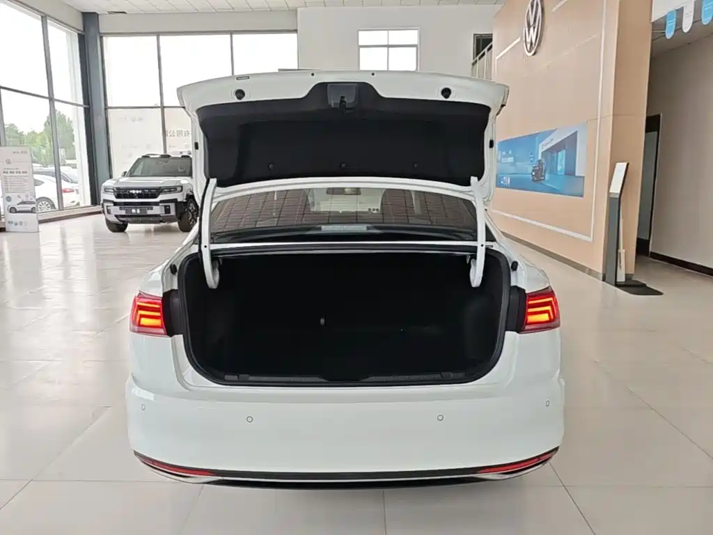 Volkswagen Bora — миниатюра 19
