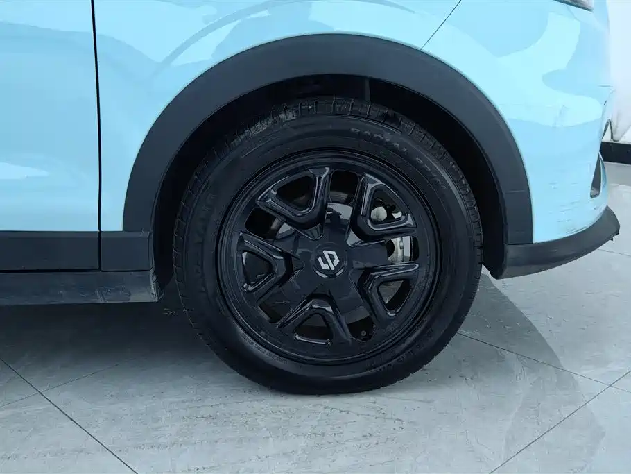 Leapmotor T03 2025 310
