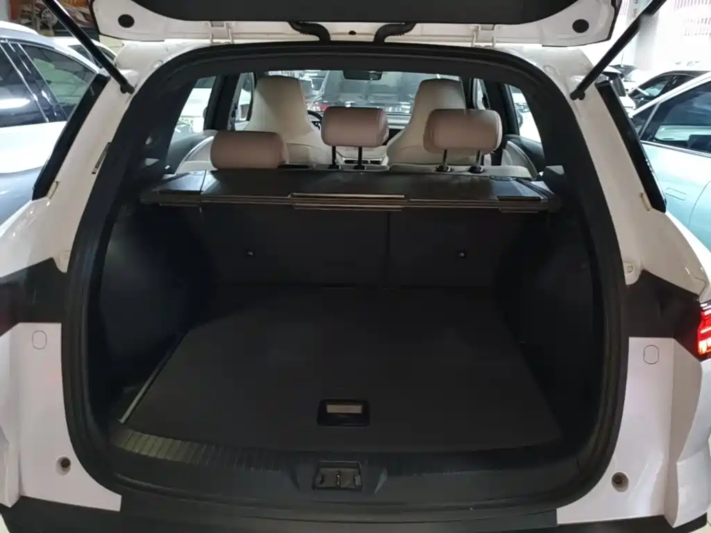 BYD Pro New Energy — миниатюра 19