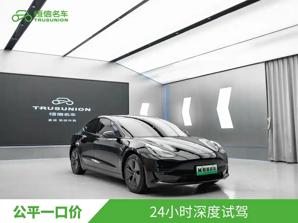 Tesla Model 3 2021 3D6