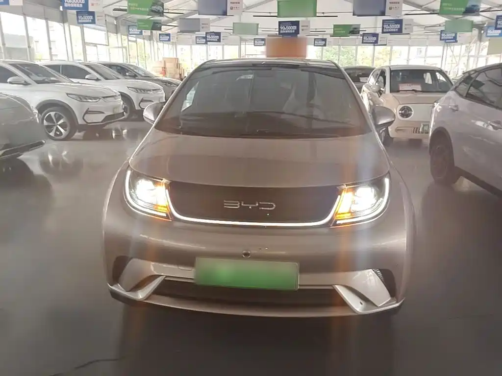 BYD Dolphin — миниатюра 3