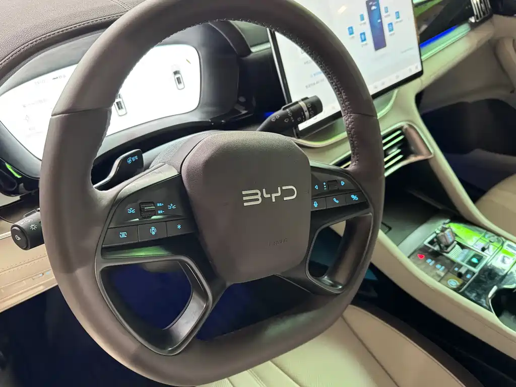 BYD SONGJIANG NEW ENERGY