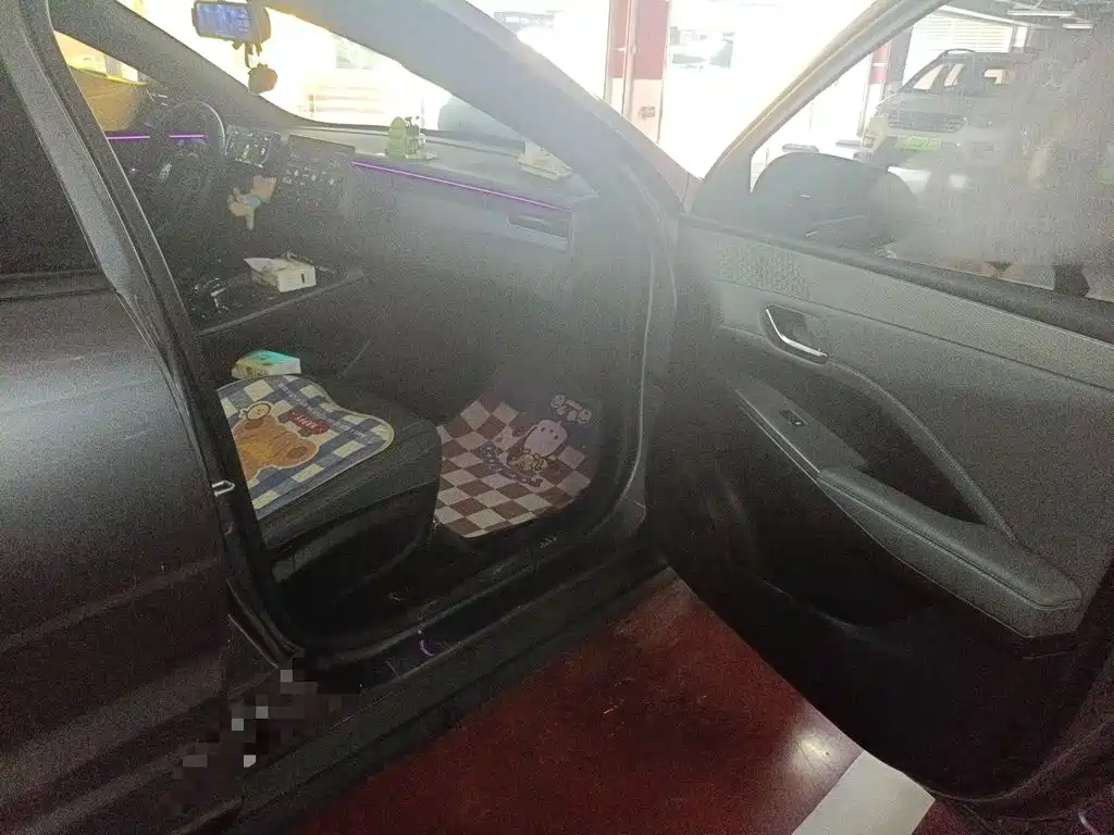 BYD Qin PLUS — миниатюра 20