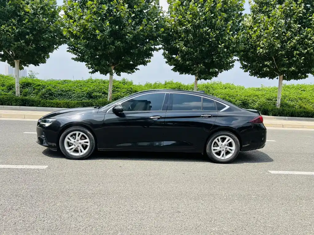 Buick Regal — миниатюра 8