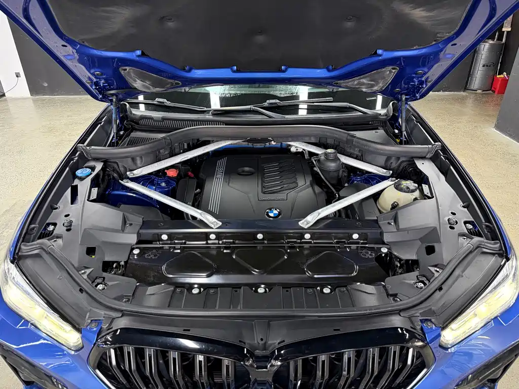 BMW X6 — миниатюра 24
