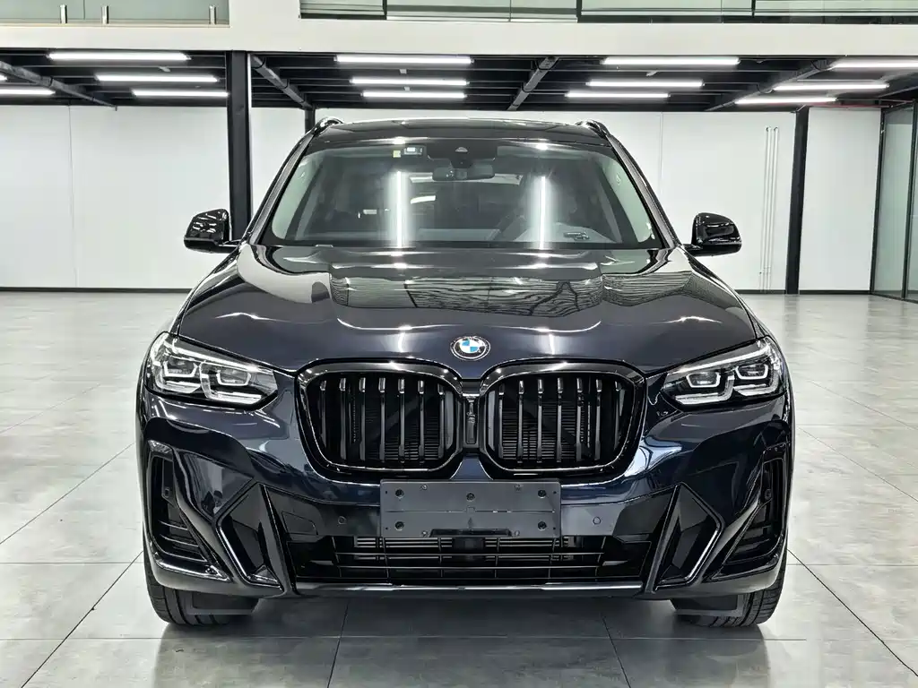 BMW X3 — миниатюра 2