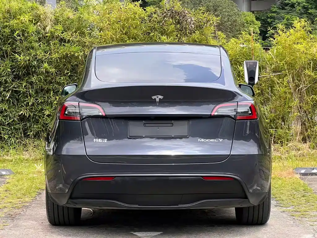 Tesla Model Y — миниатюра 6