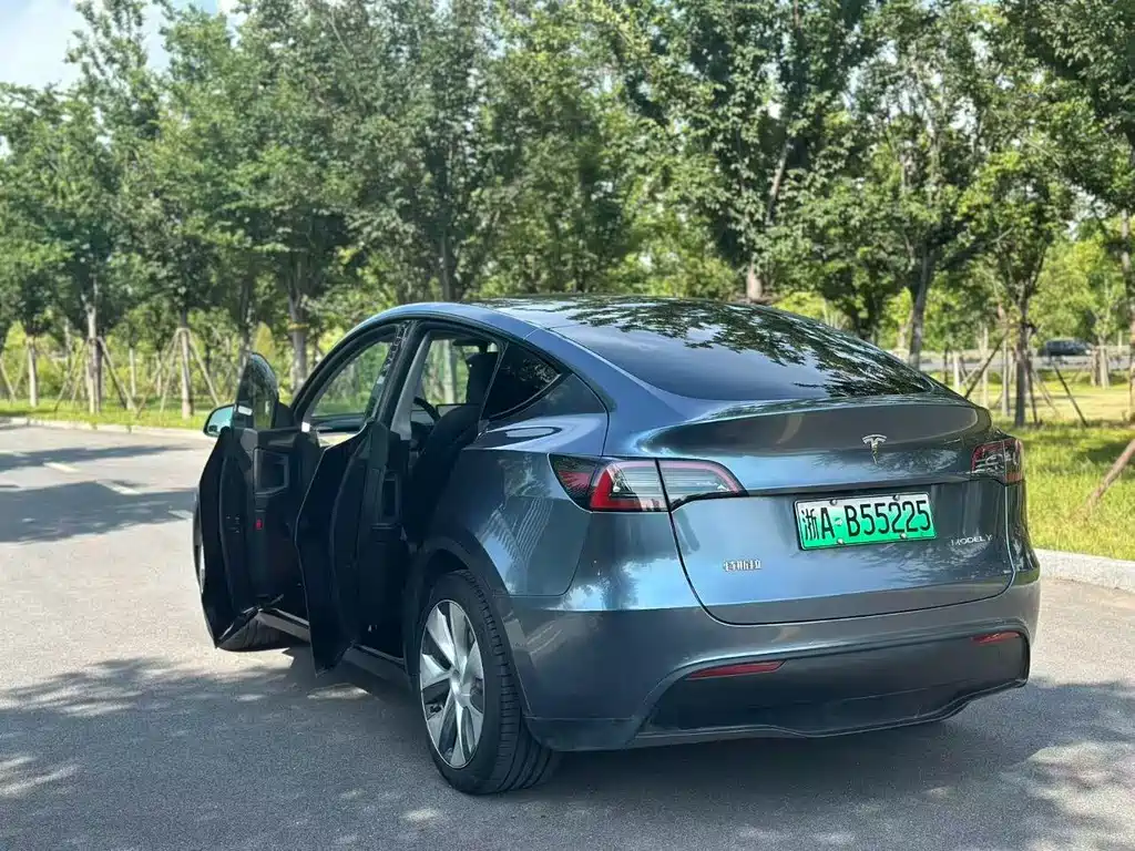 Tesla Model Y — миниатюра 6