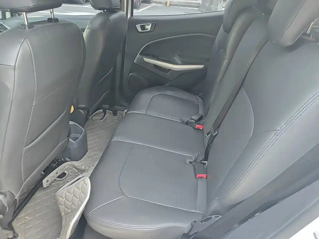 Ford Ecosport — миниатюра 24