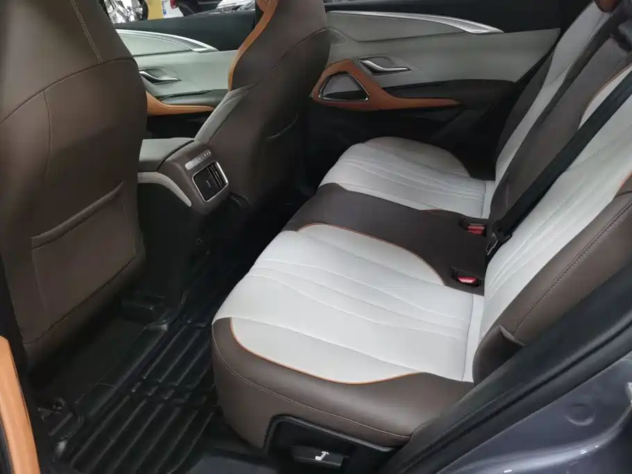 BYD Pro New Energy — миниатюра 11