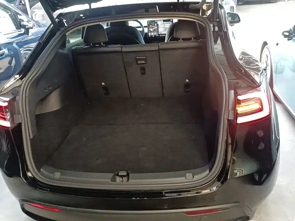 Tesla Model Y — миниатюра 19