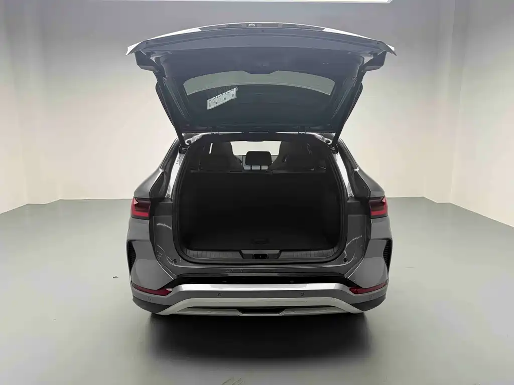 BYD SONGJIANG NEW ENERGY