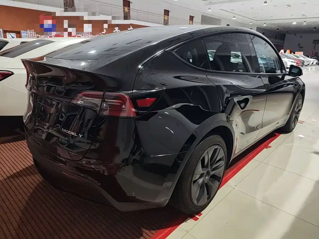 Tesla Model Y — миниатюра 7