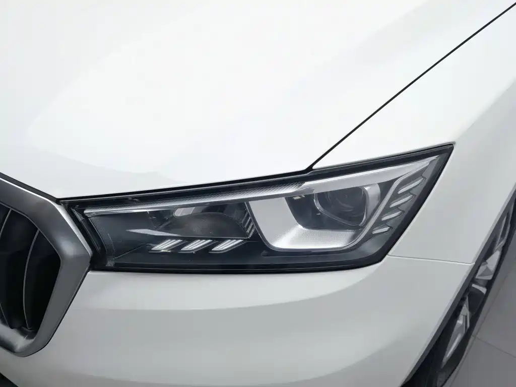 Borgward BX5 — миниатюра 7